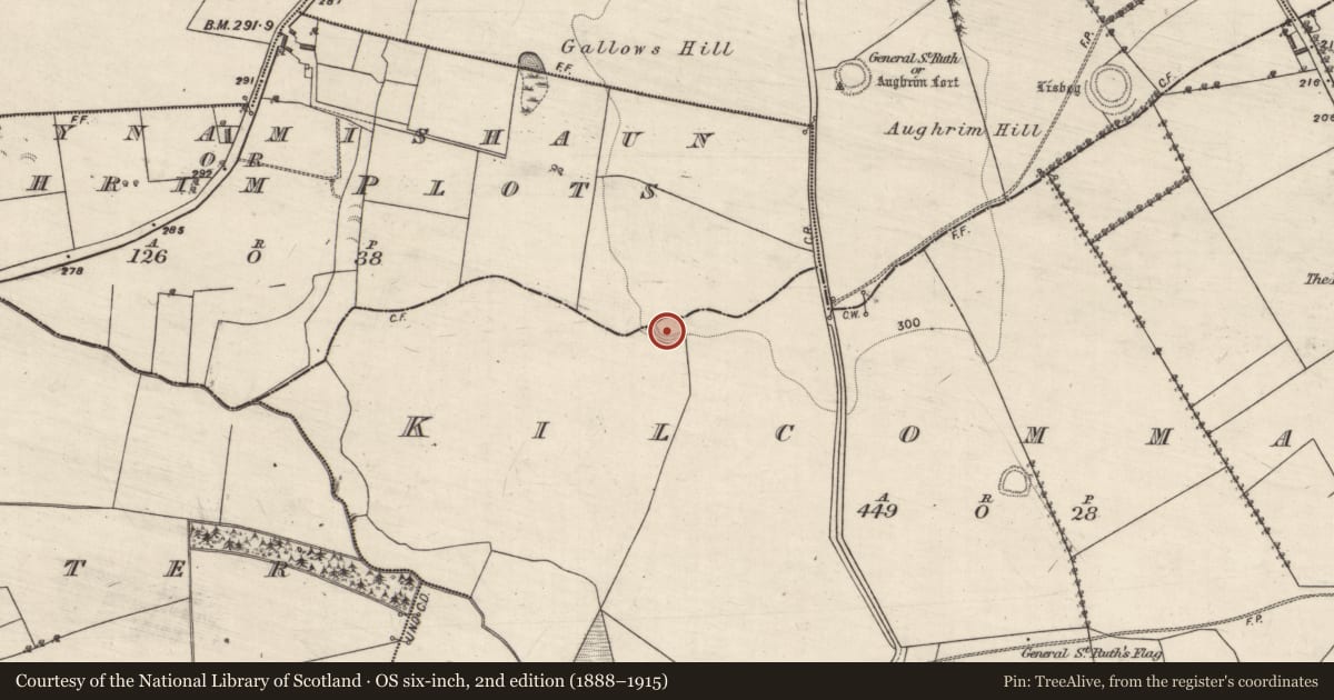 Ordnance Survey six-inch map, 2nd edition (1888–1915) covering the location of Enclosure, Garrynamishaun Or Aughrim Plots, Kilcommadan, County Galway, with a pin at the register's coordinates