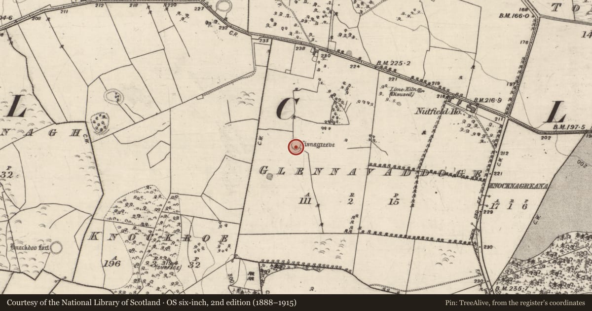 Ordnance Survey six-inch map, 2nd edition (1888–1915) covering the location of Enclosure, Glennavaddoge, County Galway, with a pin at the register's coordinates