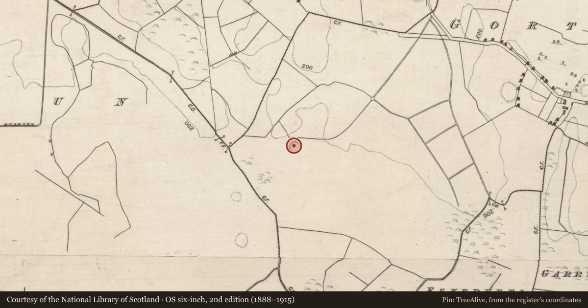 Ordnance Survey six-inch map, 2nd edition (1888–1915) covering the location of Ringfort - unclassified, Gortnahorna (Clanricarde), County Galway, with a pin at the register's coordinates