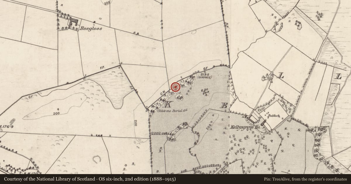 Ordnance Survey six-inch map, 2nd edition (1888–1915) covering the location of Enclosure, Graigueawoneen, Kellysgrove, County Galway, with a pin at the register's coordinates