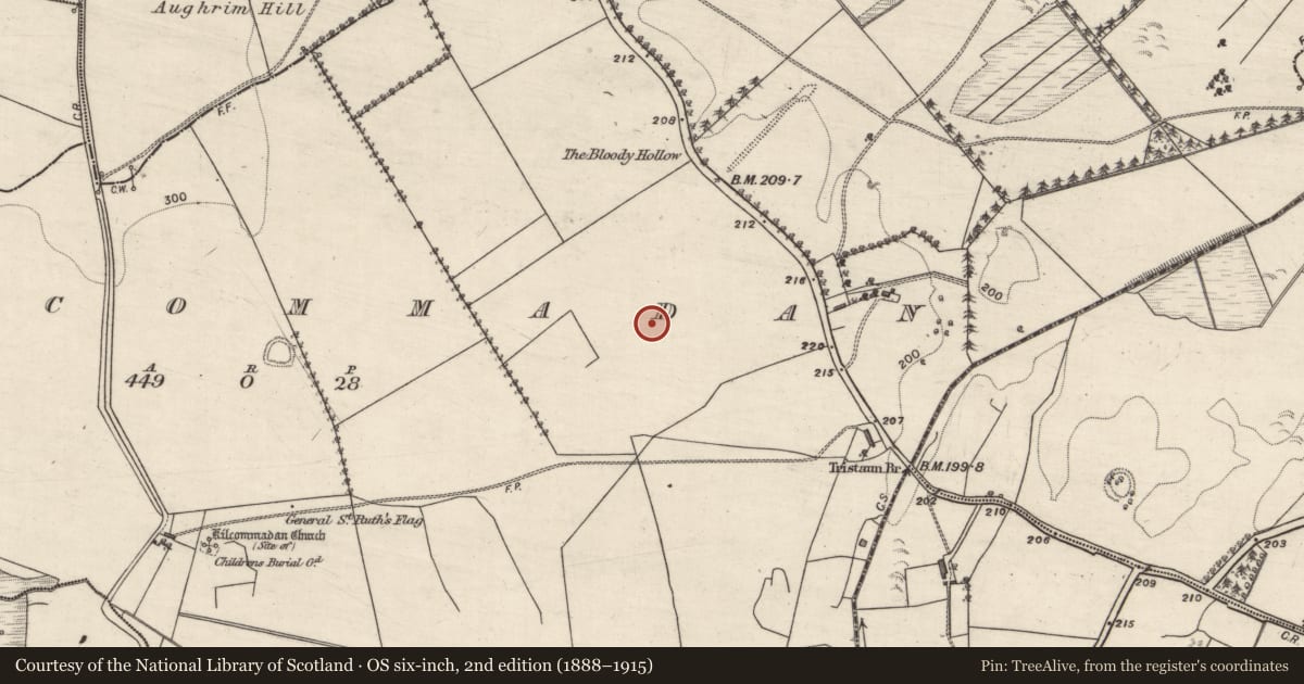 Ordnance Survey six-inch map, 2nd edition (1888–1915) covering the location of Ringfort - rath, Kilcommadan, County Galway, with a pin at the register's coordinates