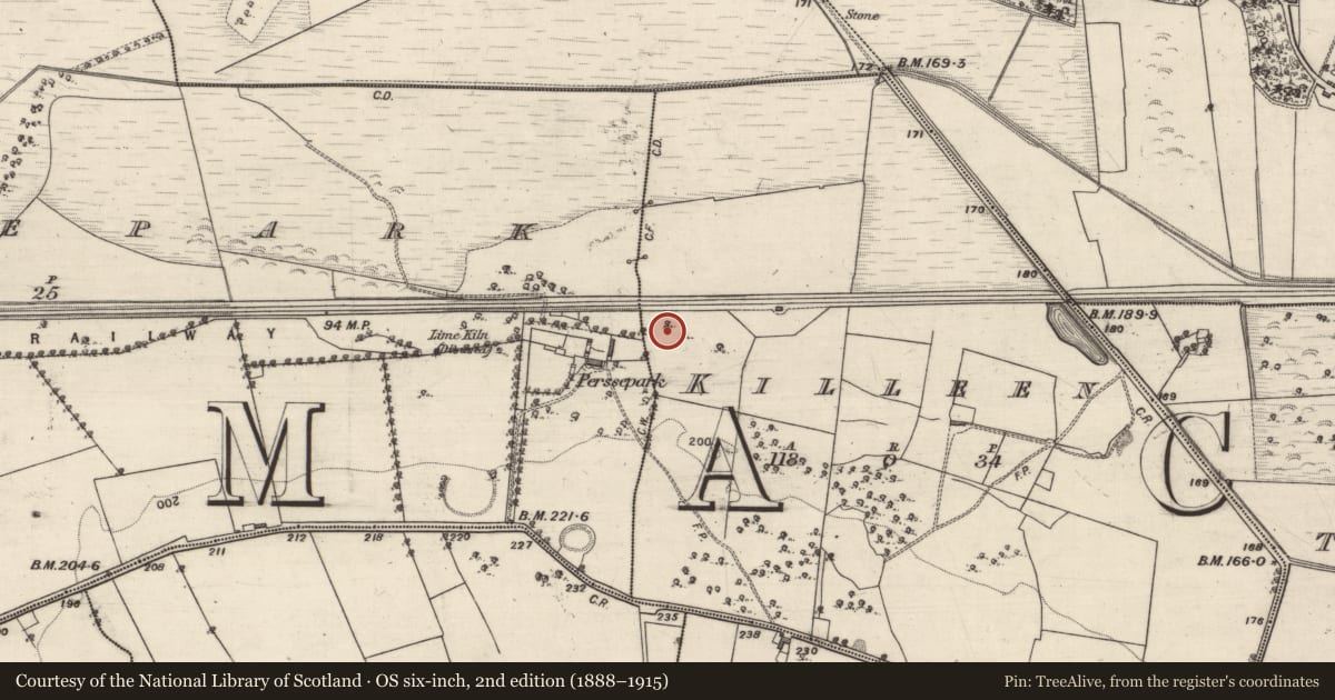 Ordnance Survey six-inch map, 2nd edition (1888–1915) covering the location of Castle - unclassified, Killeen, County Galway, with a pin at the register's coordinates