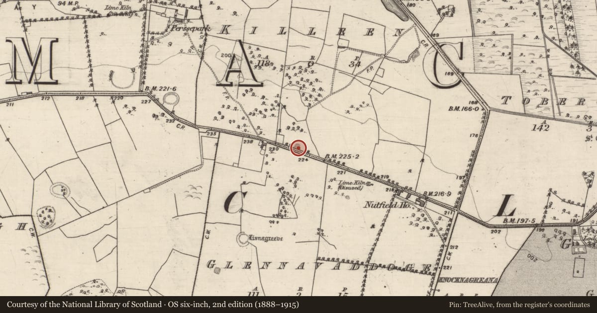 Ordnance Survey six-inch map, 2nd edition (1888–1915) covering the location of Ringfort - rath, Killeen, County Galway, with a pin at the register's coordinates