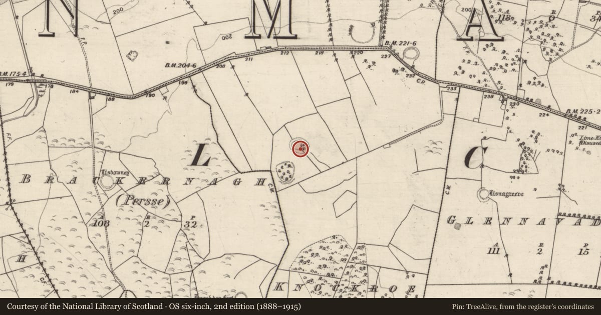 Ordnance Survey six-inch map, 2nd edition (1888–1915) covering the location of Enclosure, Knockroe, County Galway, with a pin at the register's coordinates
