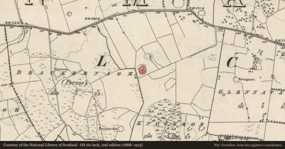 Ordnance Survey six-inch map, 2nd edition (1888–1915) covering the location of Enclosure, Knockroe, County Galway, with a pin at the register's coordinates