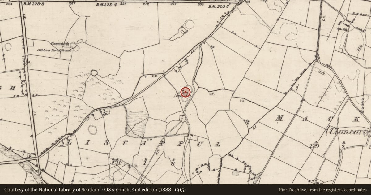 Ordnance Survey six-inch map, 2nd edition (1888–1915) covering the location of Ringfort - rath, Liscappul, County Galway, with a pin at the register's coordinates