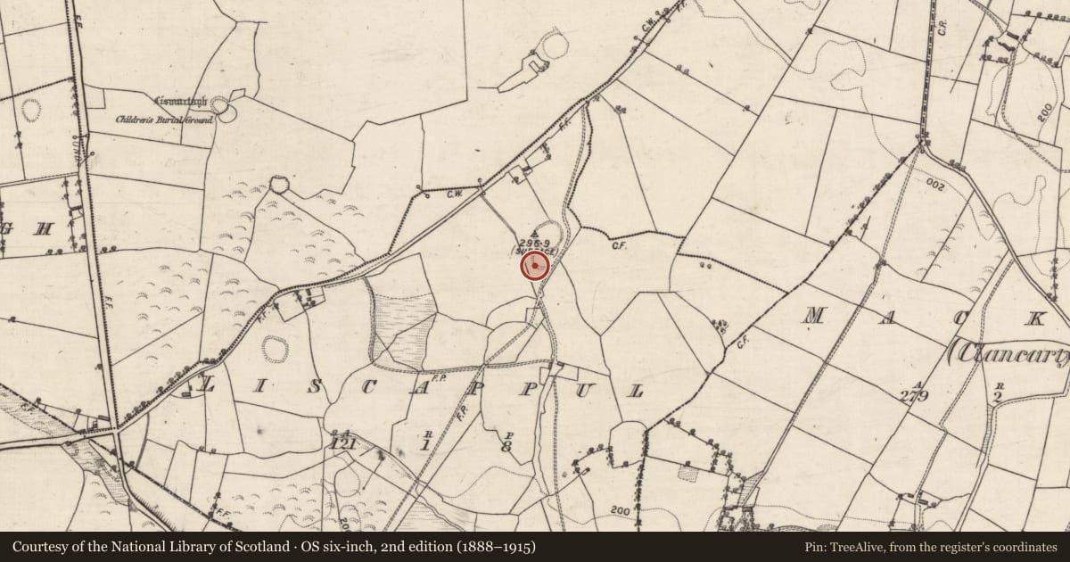 Ordnance Survey six-inch map, 2nd edition (1888–1915) covering the location of Ringfort - rath, Liscappul, County Galway, with a pin at the register's coordinates