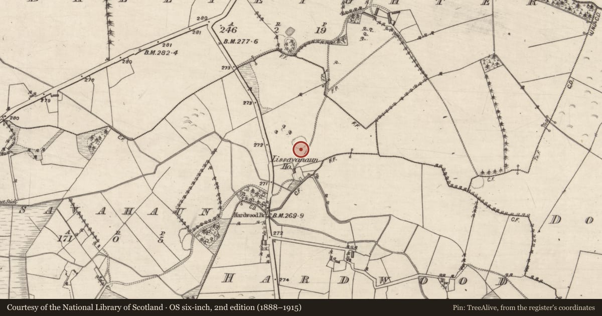 Ordnance Survey six-inch map, 2nd edition (1888–1915) covering the location of Enclosure, Lissavahaun, County Galway, with a pin at the register's coordinates