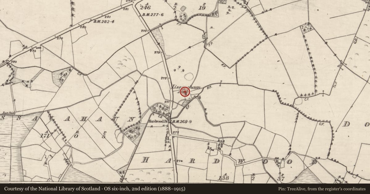 Ordnance Survey six-inch map, 2nd edition (1888–1915) covering the location of House - 18th/19th century, Lissavahaun, County Galway, with a pin at the register's coordinates