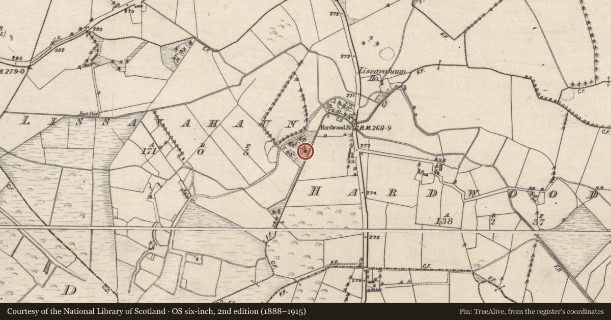 Ordnance Survey six-inch map, 2nd edition (1888–1915) covering the location of Mill - corn, Lissavahaun, County Galway, with a pin at the register's coordinates