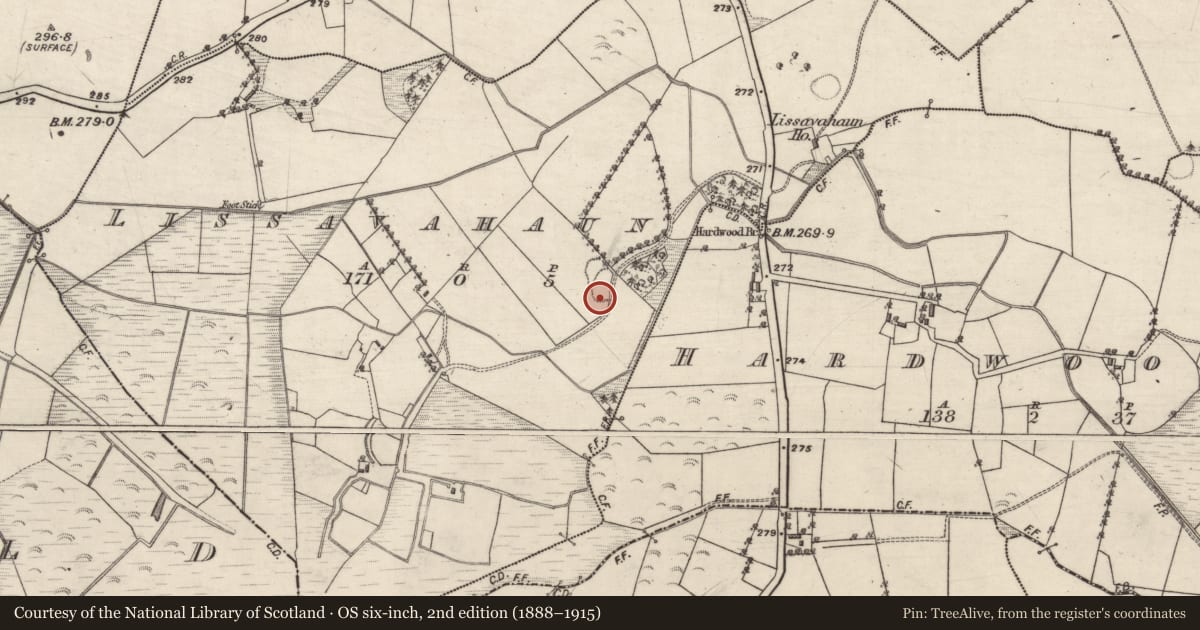 Ordnance Survey six-inch map, 2nd edition (1888–1915) covering the location of Ringfort - rath, Lissavahaun, County Galway, with a pin at the register's coordinates