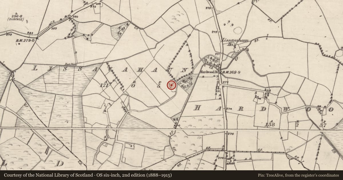 Ordnance Survey six-inch map, 2nd edition (1888–1915) covering the location of Ringfort - rath, Lissavahaun, County Galway, with a pin at the register's coordinates