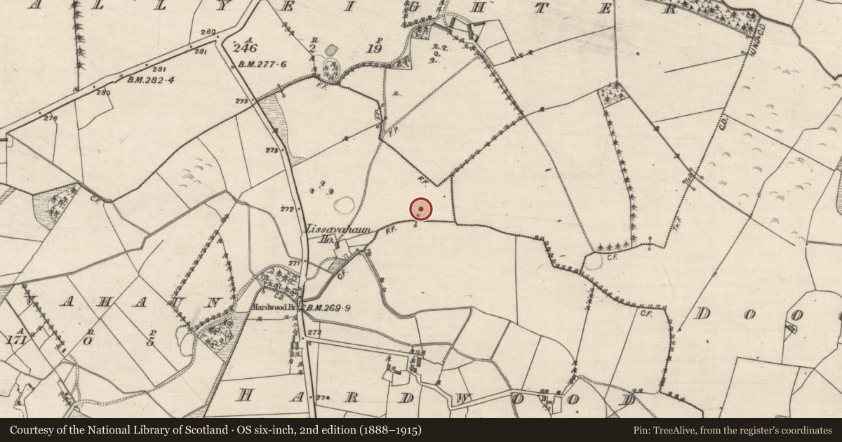 Ordnance Survey six-inch map, 2nd edition (1888–1915) covering the location of House - indeterminate date, Lissavahaun, County Galway, with a pin at the register's coordinates