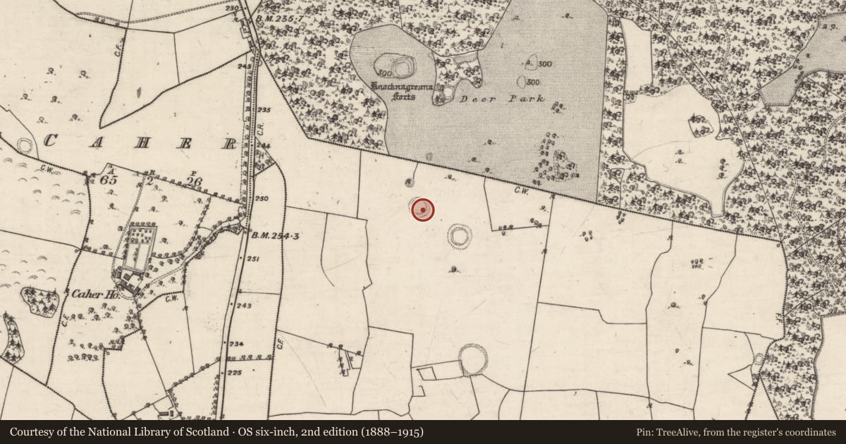 Ordnance Survey six-inch map, 2nd edition (1888–1915) covering the location of Ringfort - unclassified, Loughbown, County Galway, with a pin at the register's coordinates