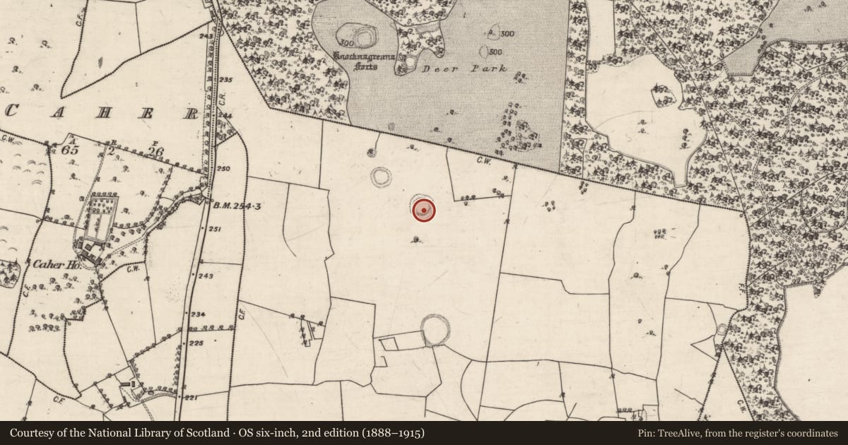 Ordnance Survey six-inch map, 2nd edition (1888–1915) covering the location of Ringfort - unclassified, Loughbown, County Galway, with a pin at the register's coordinates