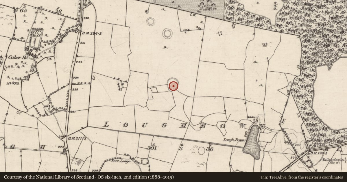 Ordnance Survey six-inch map, 2nd edition (1888–1915) covering the location of Enclosure, Loughbown, County Galway, with a pin at the register's coordinates