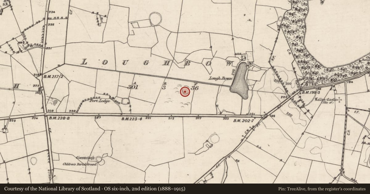 Ordnance Survey six-inch map, 2nd edition (1888–1915) covering the location of Ringfort - rath, Loughbown, County Galway, with a pin at the register's coordinates