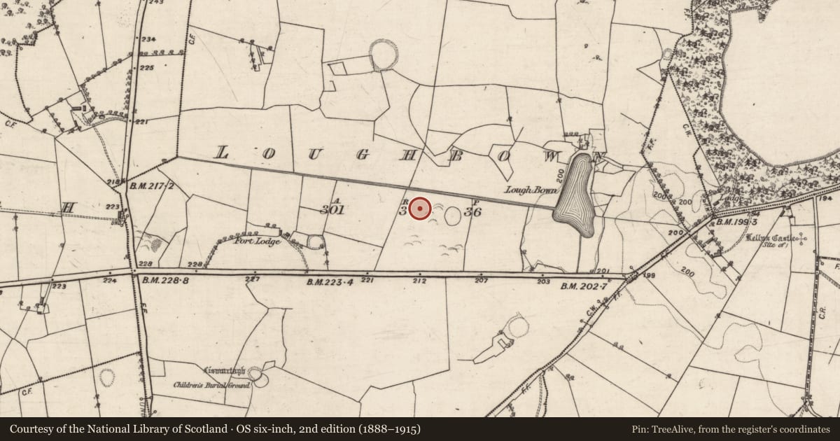 Ordnance Survey six-inch map, 2nd edition (1888–1915) covering the location of Fulacht fia, Loughbown, County Galway, with a pin at the register's coordinates