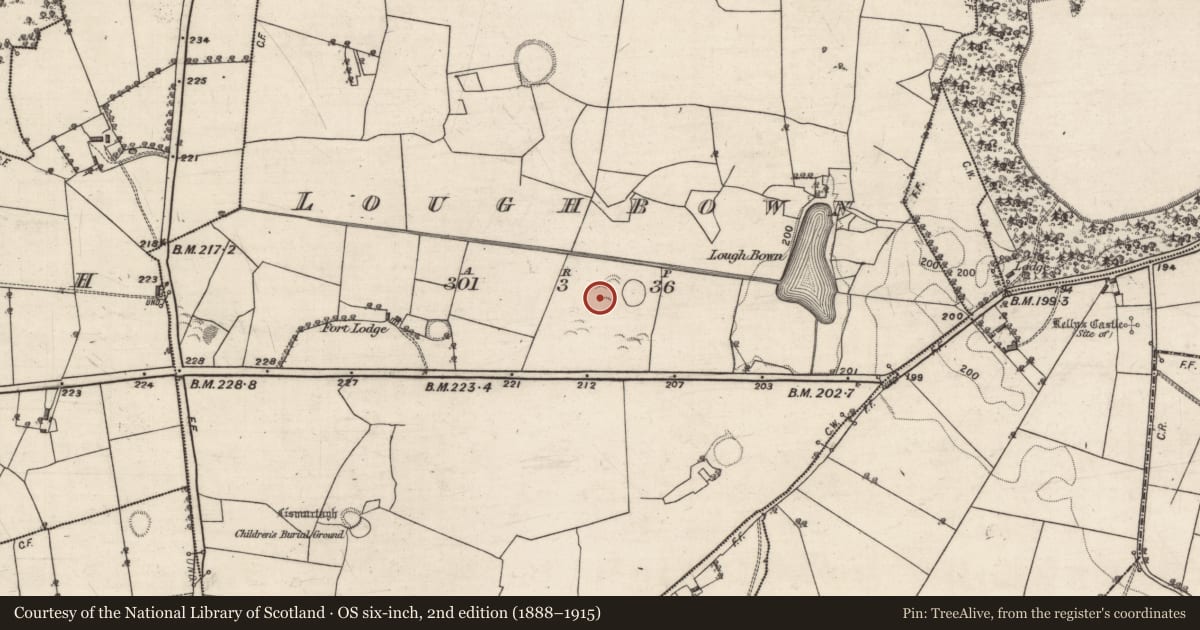 Ordnance Survey six-inch map, 2nd edition (1888–1915) covering the location of Fulacht fia, Loughbown, County Galway, with a pin at the register's coordinates