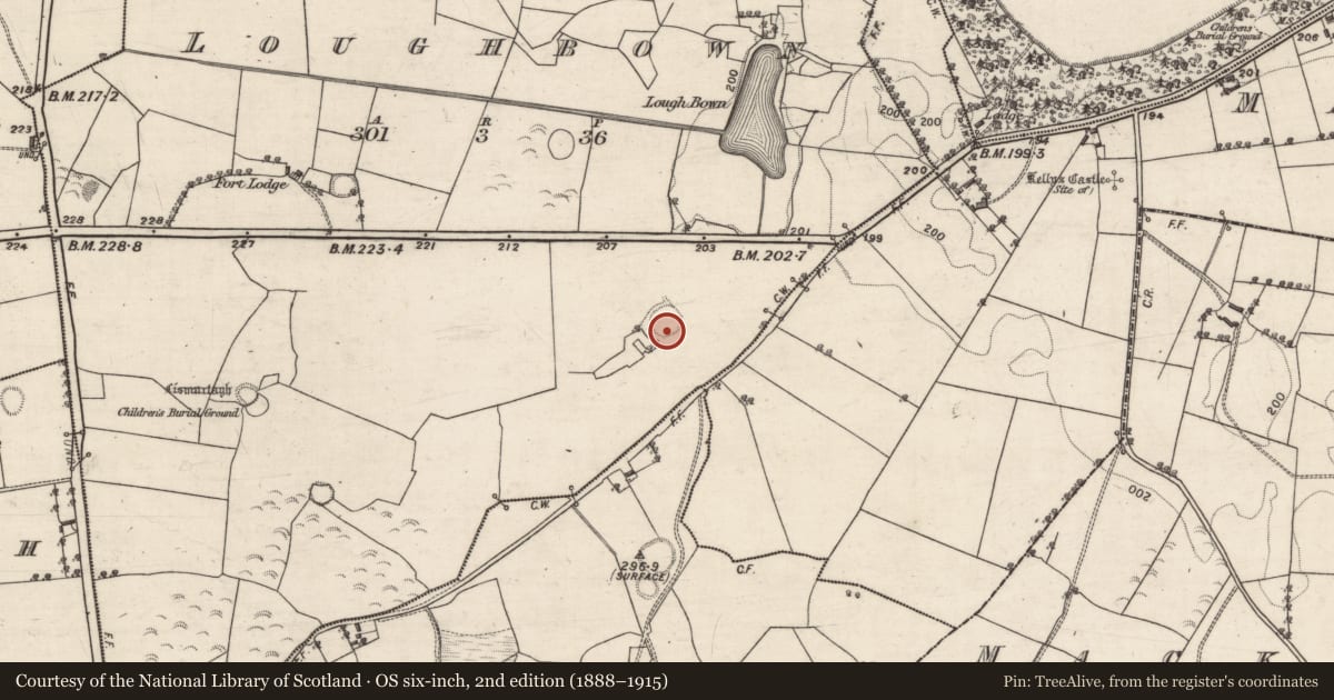 Ordnance Survey six-inch map, 2nd edition (1888–1915) covering the location of Enclosure, Loughbown, County Galway, with a pin at the register's coordinates