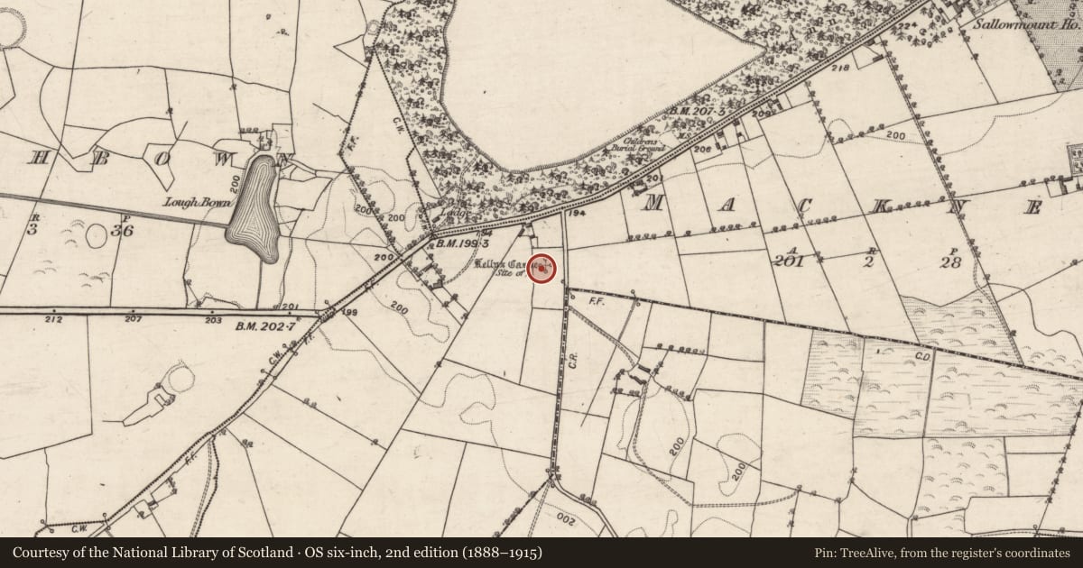 Ordnance Survey six-inch map, 2nd edition (1888–1915) covering the location of Castle - unclassified, MacKney, County Galway, with a pin at the register's coordinates