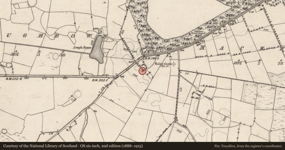 Ordnance Survey six-inch map, 2nd edition (1888–1915) covering the location of House - 17th century, MacKney, County Galway, with a pin at the register's coordinates
