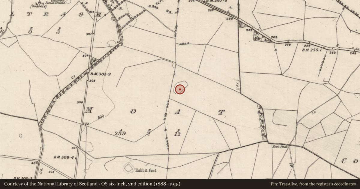 Ordnance Survey six-inch map, 2nd edition (1888–1915) covering the location of Enclosure, Moat, County Galway, with a pin at the register's coordinates