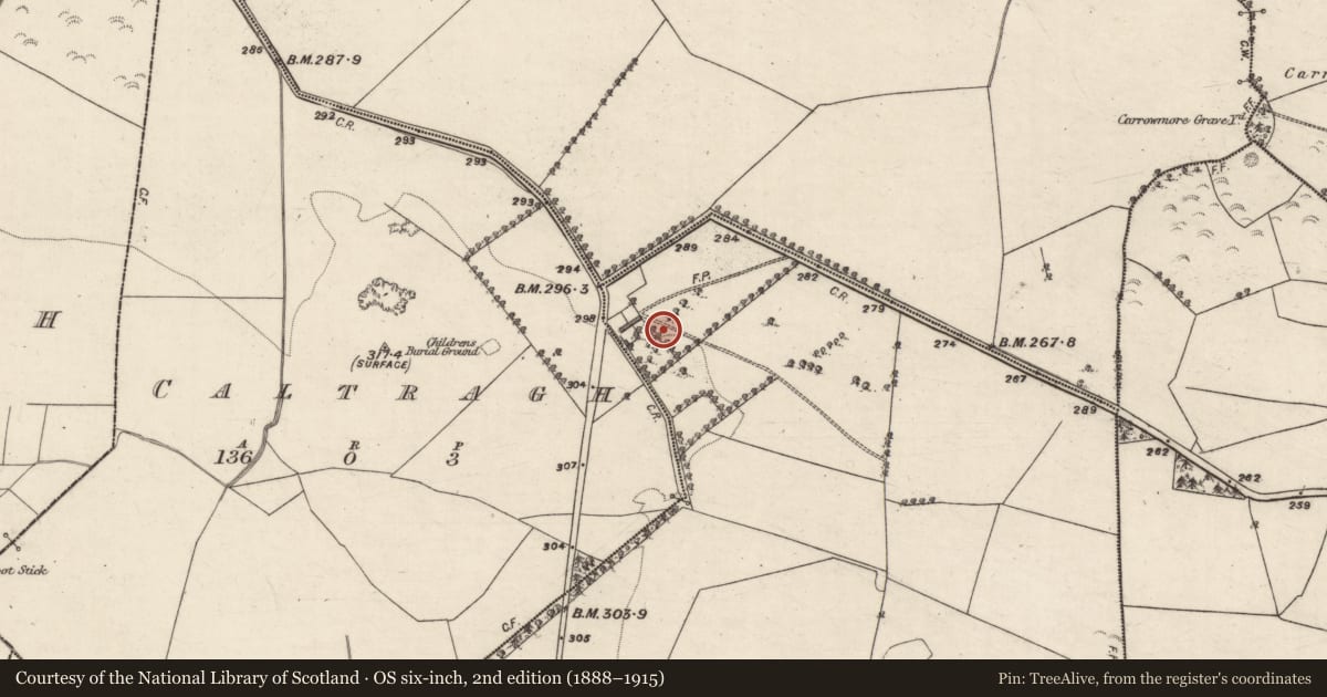 Ordnance Survey six-inch map, 2nd edition (1888–1915) covering the location of Ritual site - holy/saint's stone, Moat, County Galway, with a pin at the register's coordinates