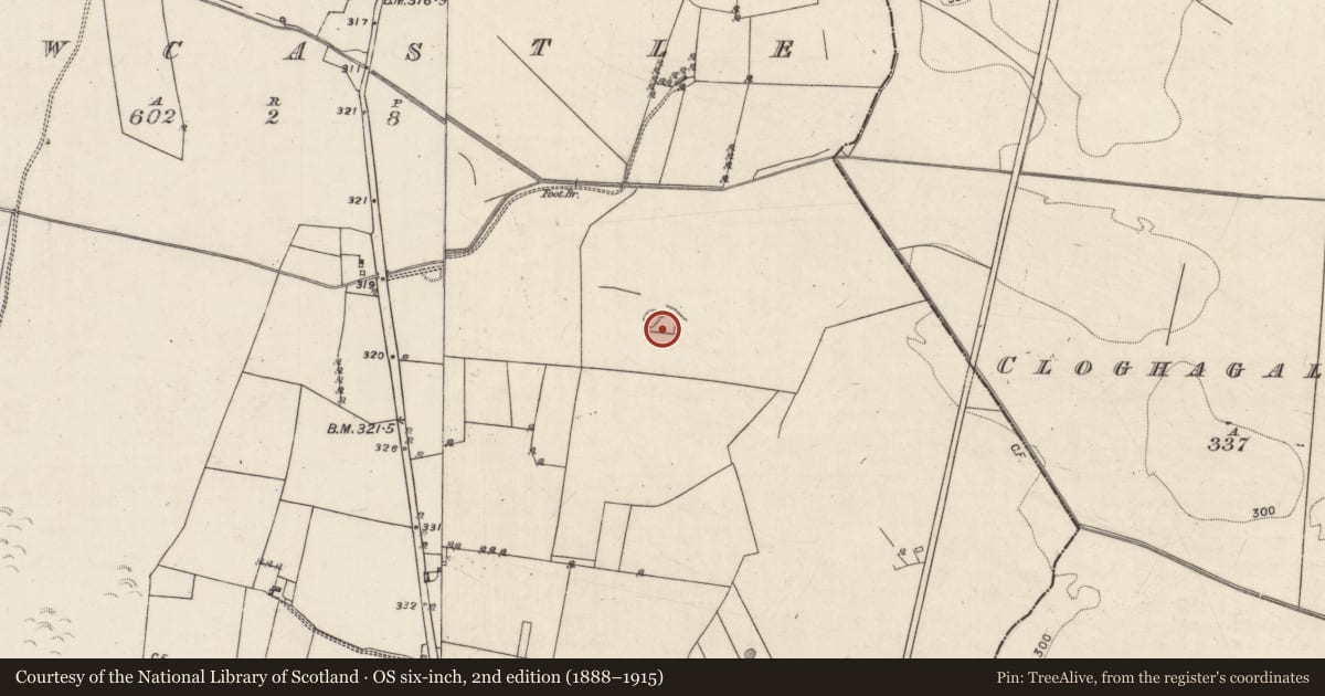 Ordnance Survey six-inch map, 2nd edition (1888–1915) covering the location of Ringfort - rath, Newcastle (Aughrim Par.), County Galway, with a pin at the register's coordinates