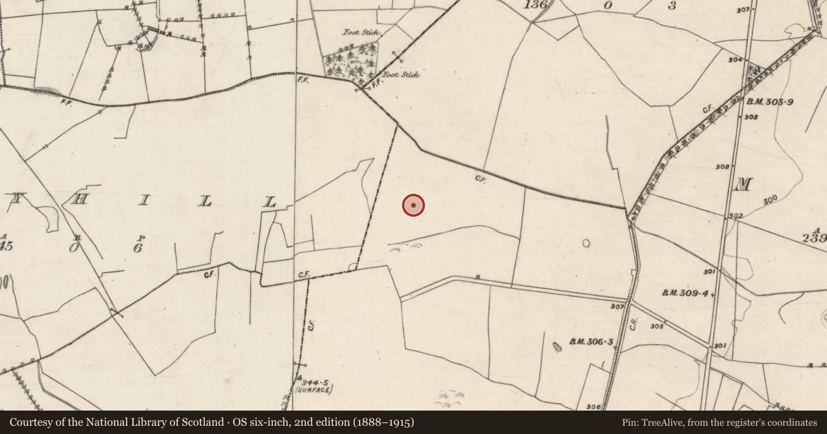 Ordnance Survey six-inch map, 2nd edition (1888–1915) covering the location of Quarry, Newcastle (Aughrim Par.), County Galway, with a pin at the register's coordinates