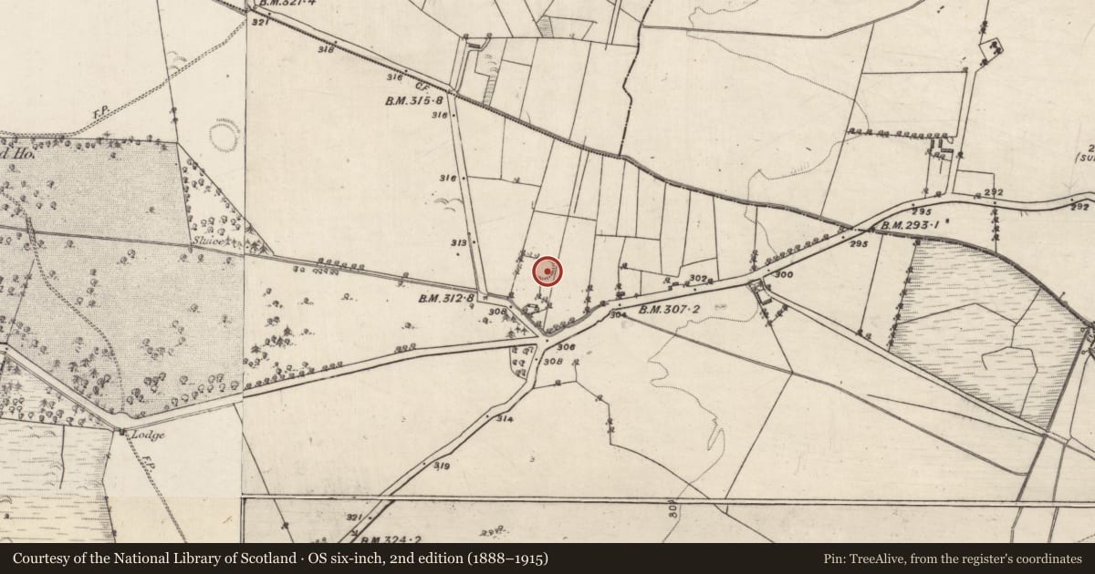 Ordnance Survey six-inch map, 2nd edition (1888–1915) covering the location of Ringfort - unclassified, Oatfield, County Galway, with a pin at the register's coordinates