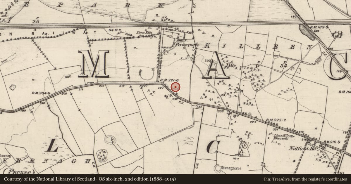 Ordnance Survey six-inch map, 2nd edition (1888–1915) covering the location of Ringfort - unclassified, Perssepark, County Galway, with a pin at the register's coordinates