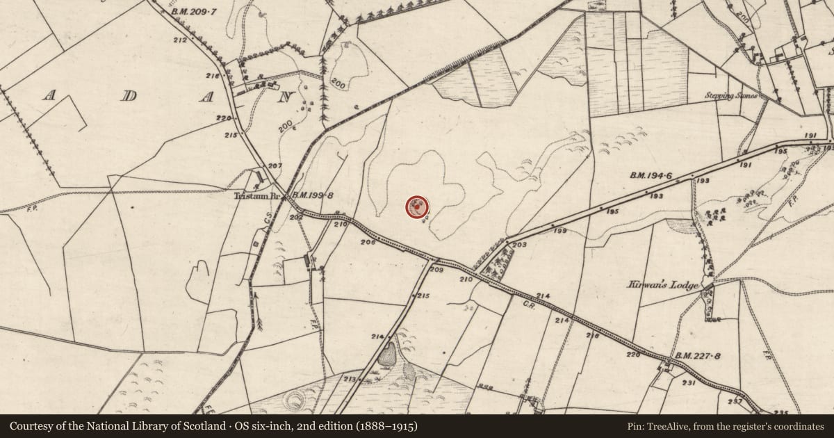 Ordnance Survey six-inch map, 2nd edition (1888–1915) covering the location of Ringfort - unclassified, Tristaun, County Galway, with a pin at the register's coordinates