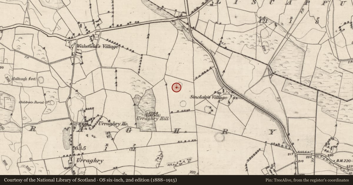 Ordnance Survey six-inch map, 2nd edition (1888–1915) covering the location of Ringfort - rath, Urraghry, County Galway, with a pin at the register's coordinates