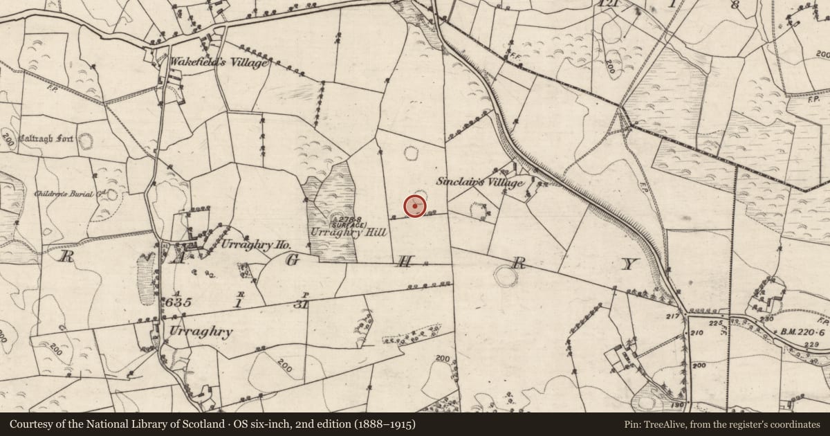Ordnance Survey six-inch map, 2nd edition (1888–1915) covering the location of Ringfort - rath, Urraghry, County Galway, with a pin at the register's coordinates