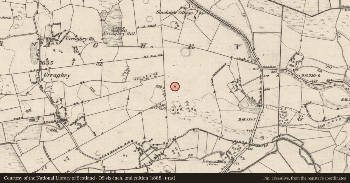 Ordnance Survey six-inch map, 2nd edition (1888–1915) covering the location of Ringfort - unclassified, Urraghry, County Galway, with a pin at the register's coordinates