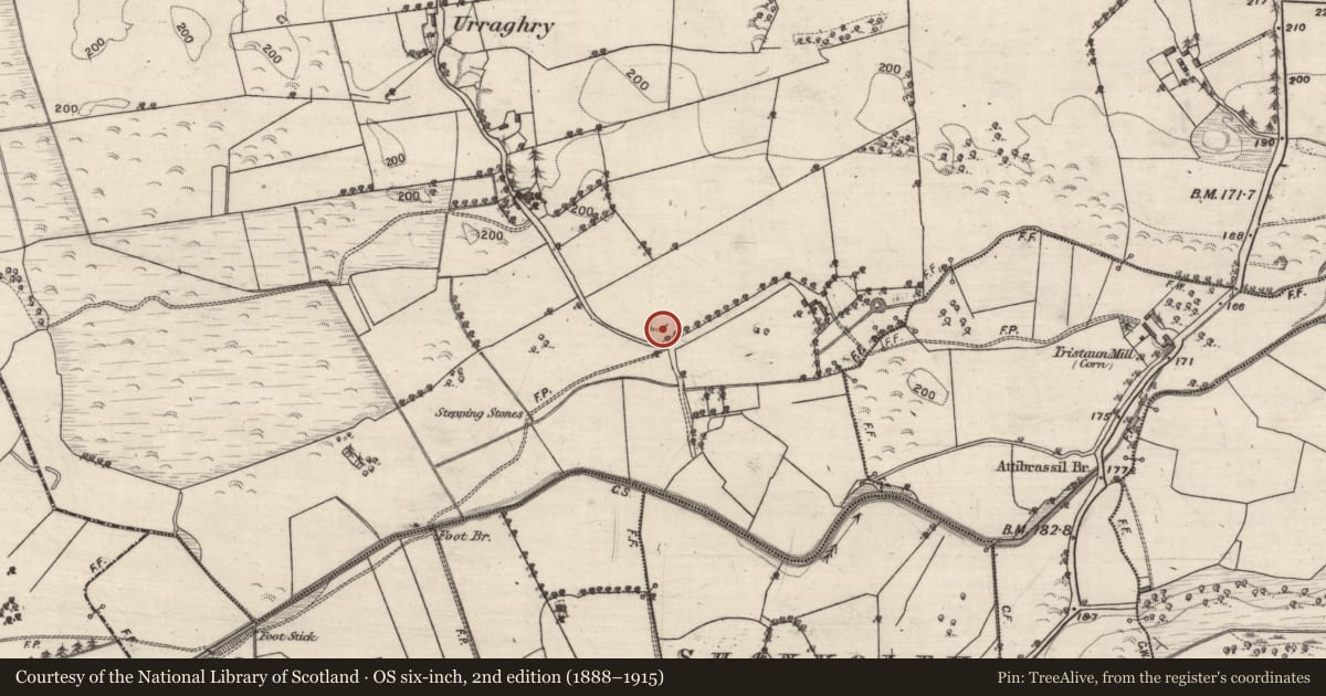 Ordnance Survey six-inch map, 2nd edition (1888–1915) covering the location of Ringfort - rath, Urraghry, County Galway, with a pin at the register's coordinates