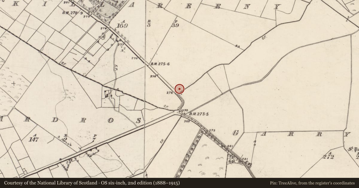 Ordnance Survey six-inch map, 2nd edition (1888–1915) covering the location of Designed landscape feature, Killareeny, County Galway, with a pin at the register's coordinates