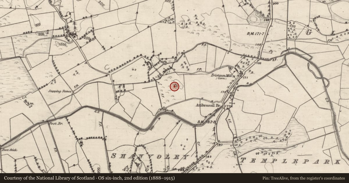 Ordnance Survey six-inch map, 2nd edition (1888–1915) covering the location of Inscribed stone, Tristaun, County Galway, with a pin at the register's coordinates