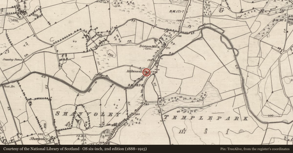 Ordnance Survey six-inch map, 2nd edition (1888–1915) covering the location of Bridge, Tristaun, County Galway, with a pin at the register's coordinates