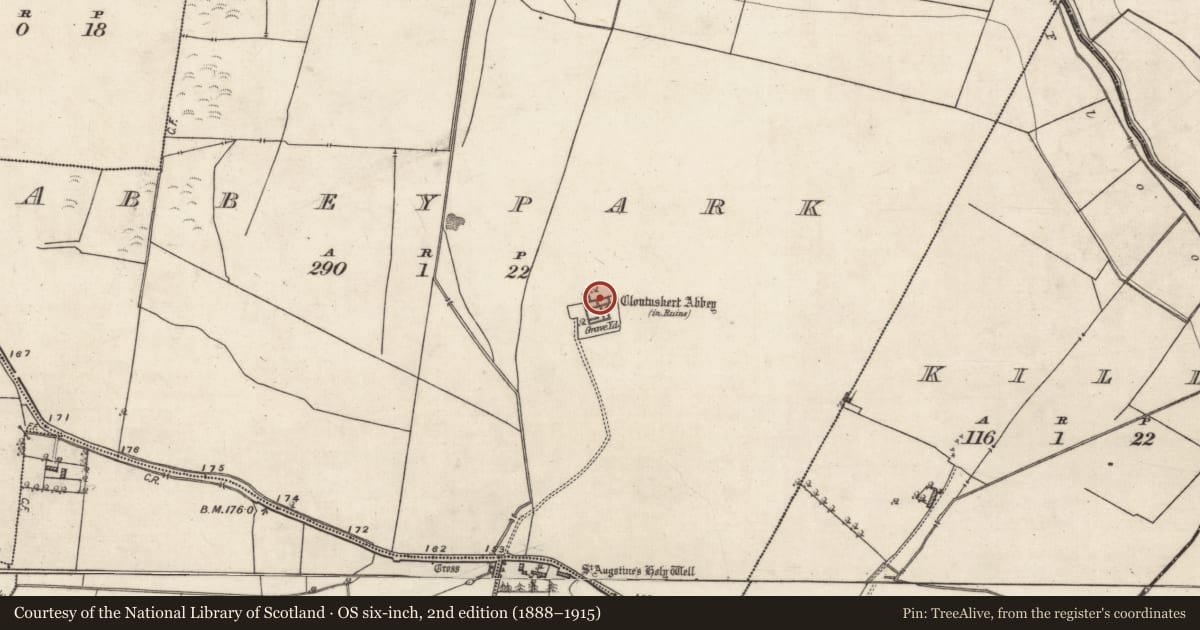 Ordnance Survey six-inch map, 2nd edition (1888–1915) covering the location of Graveslab, Abbeypark, County Galway, with a pin at the register's coordinates