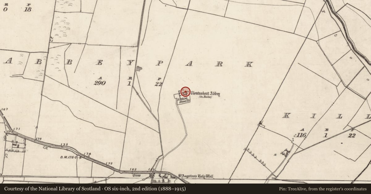 Ordnance Survey six-inch map, 2nd edition (1888–1915) covering the location of Graveslab, Abbeypark, County Galway, with a pin at the register's coordinates