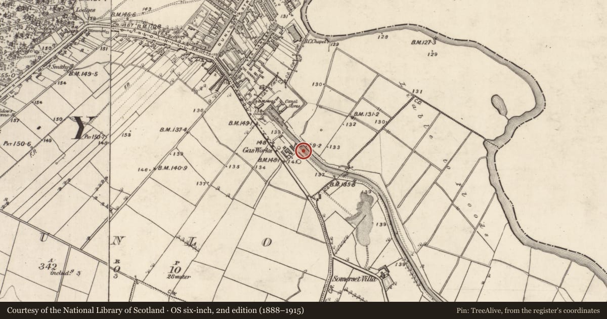 Ordnance Survey six-inch map, 2nd edition (1888–1915) covering the location of Canal, County Galway, with a pin at the register's coordinates