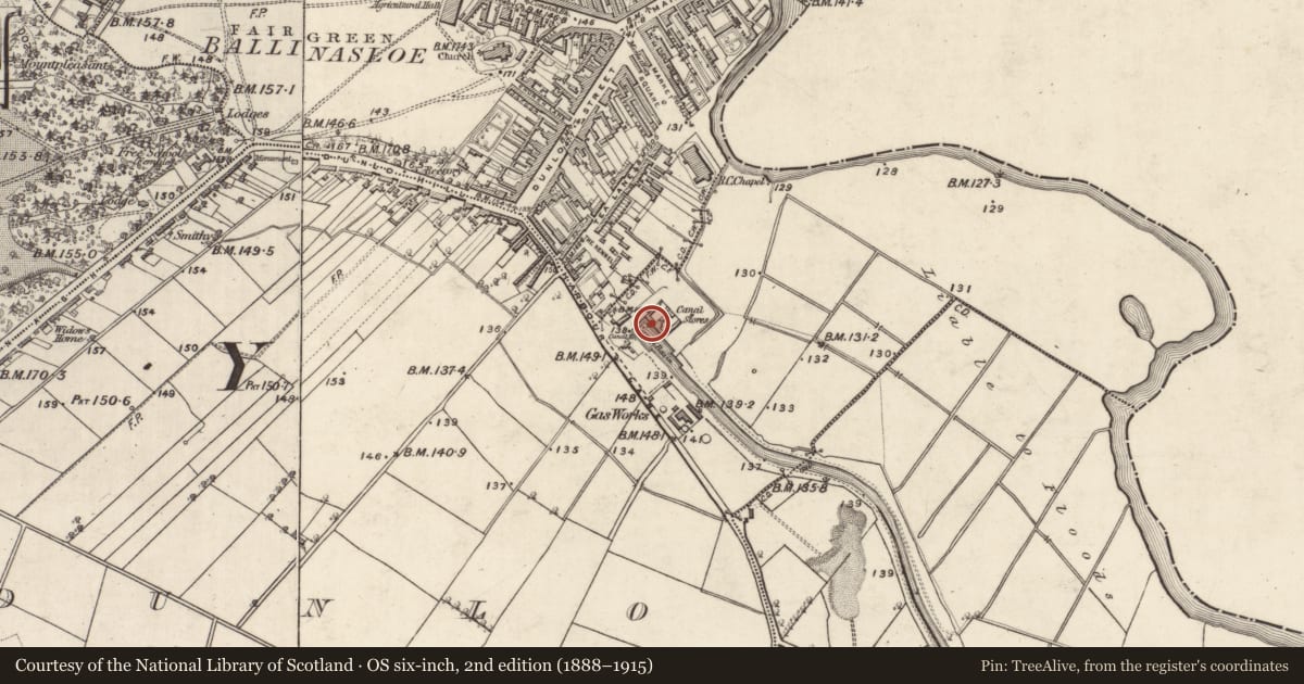 Ordnance Survey six-inch map, 2nd edition (1888–1915) covering the location of Warehouse, Dunlo, County Galway, with a pin at the register's coordinates