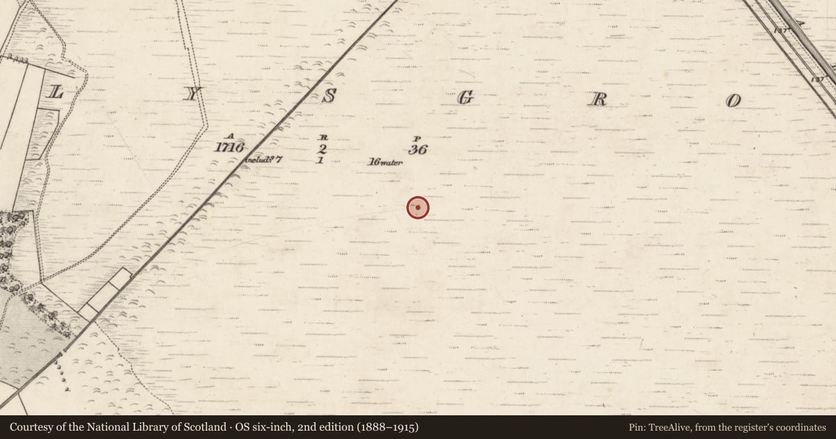 Ordnance Survey six-inch map, 2nd edition (1888–1915) covering the location of Road - class 1 togher, Kellysgrove, County Galway, with a pin at the register's coordinates