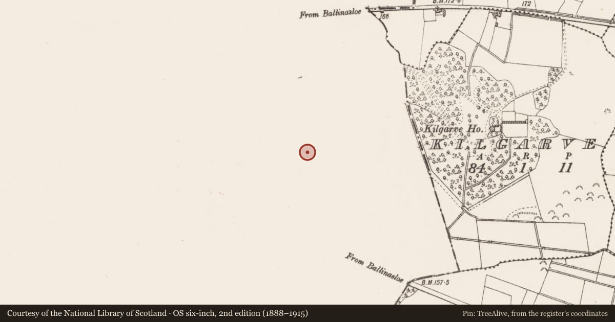 Ordnance Survey six-inch map, 2nd edition (1888–1915) covering the location of Enclosure, Kilgarve, County Galway, with a pin at the register's coordinates