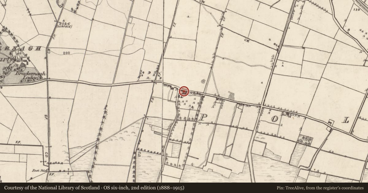 Ordnance Survey six-inch map, 2nd edition (1888–1915) covering the location of School, Pollboy, County Galway, with a pin at the register's coordinates