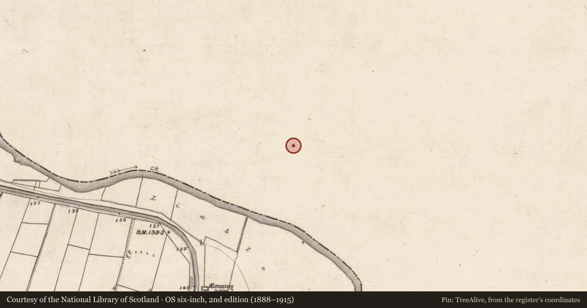 Ordnance Survey six-inch map, 2nd edition (1888–1915) covering the location of Ringfort - unclassified, Portnick, County Galway, with a pin at the register's coordinates