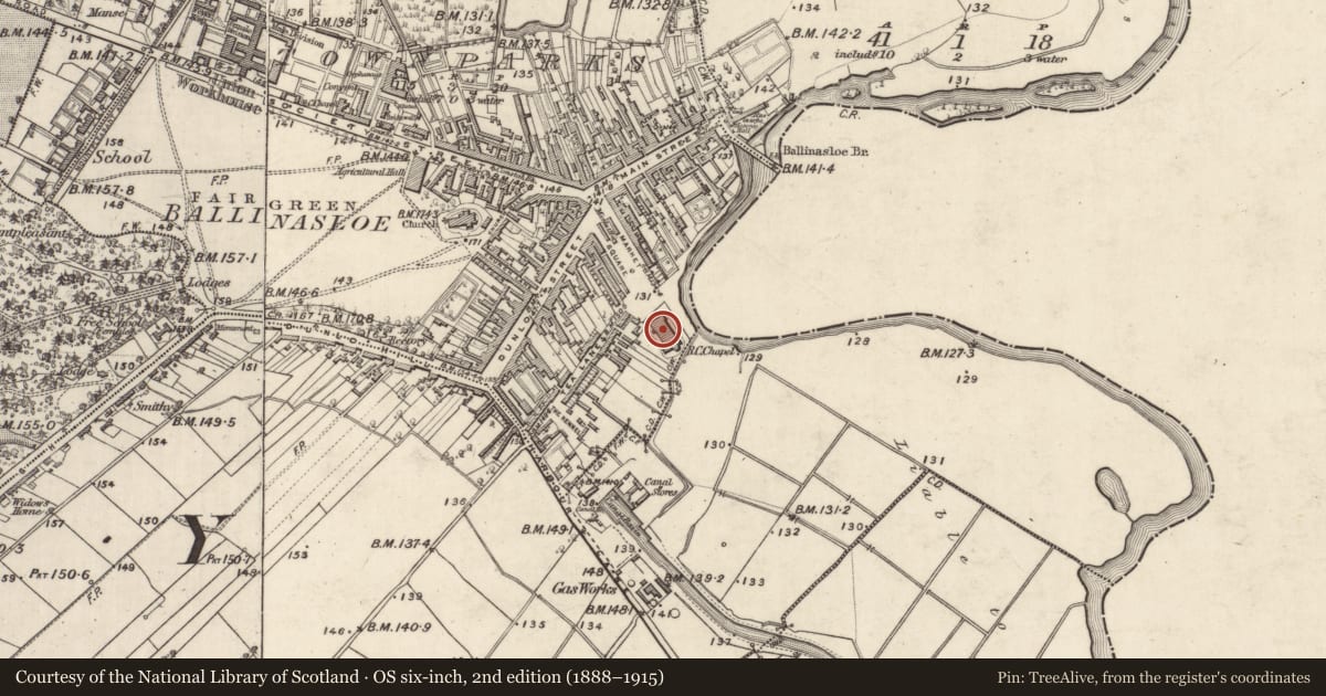 Ordnance Survey six-inch map, 2nd edition (1888–1915) covering the location of Earthwork, Townparks (Clonmacnowen By. - Ballinasloe), County Galway, with a pin at the register's coordinates
