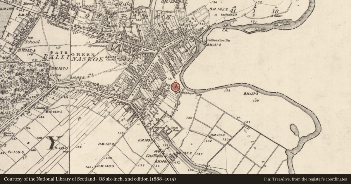 Ordnance Survey six-inch map, 2nd edition (1888–1915) covering the location of Church, Townparks (Clonmacnowen By. - Ballinasloe), County Galway, with a pin at the register's coordinates